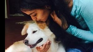 Priya Dog boarding, Pet Boarding, Dog Walking and Pet Sitting.