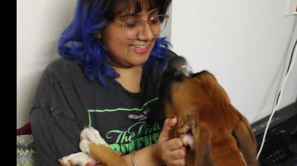 Tanishka Dog boarding, Pet Boarding, Dog Walking and Pet Sitting.