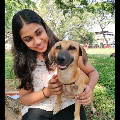 Anjali Pet hotel experience in real homes! 4